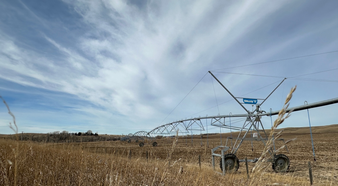 Photo taken beside Highway 3 west of Lethbridge on Feb. 28, 2025.